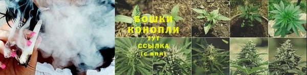 крисы Богородск