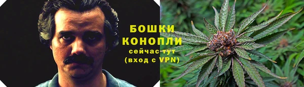 спайс Белокуриха