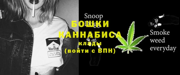крисы Богородск