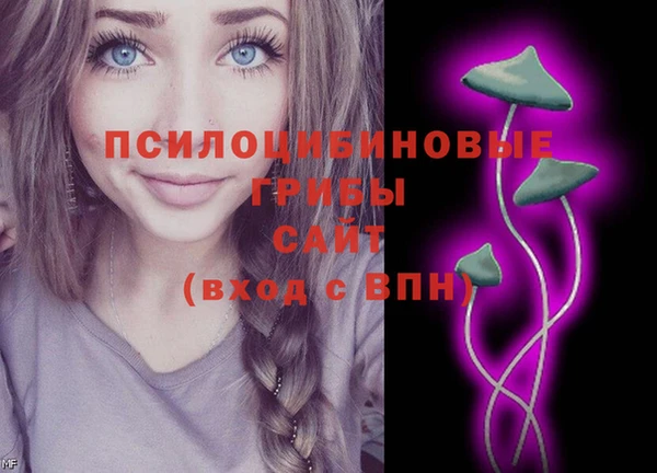 спайс Белокуриха
