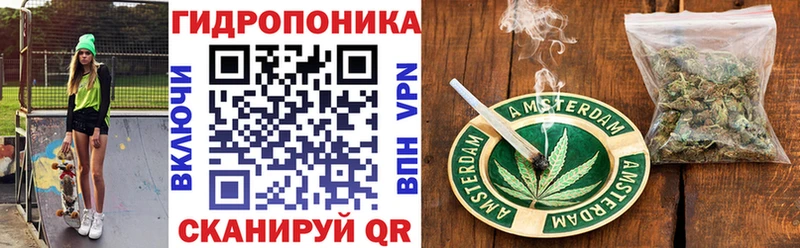 Каннабис индика Кохма